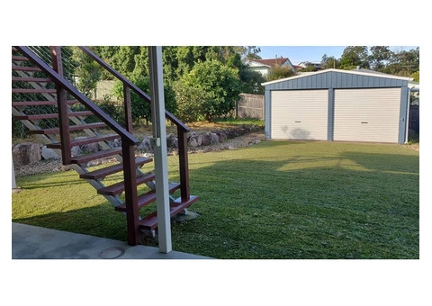 Buffalo Palmetto re-turf on 2 July 2020 at Everton Park. - 5/8