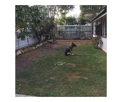 Preparation is key to new grass On June 14 at Everton Park.