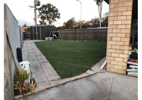 Fresh empire zoysia feels on June 14 in Slacks Creek, Queensland. - 2/3