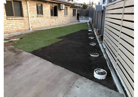 Fresh empire zoysia feels on June 14 in Slacks Creek, Queensland. - 3/3