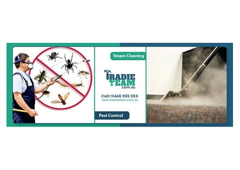 Can’t find the perfect pest control in Keysborough