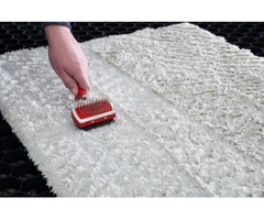 Are You Looking for a Water Damage Carpet Repair Services in Perth?