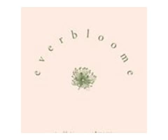 Best Adwords Management at OAC Digital