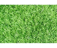 Are you looking for high-quality artificial turf in Perth?