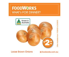 Loose Brown Onions For Sale FoodWorks Clovelly