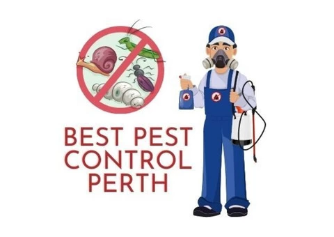 Best Pest Control Perth