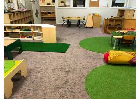 Carpet Cleaning Melbourne - 3/7