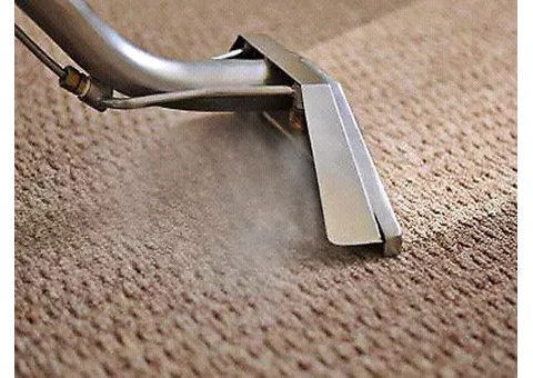 Clean Sleep Carpet Cleaning Brisbane - 1/6