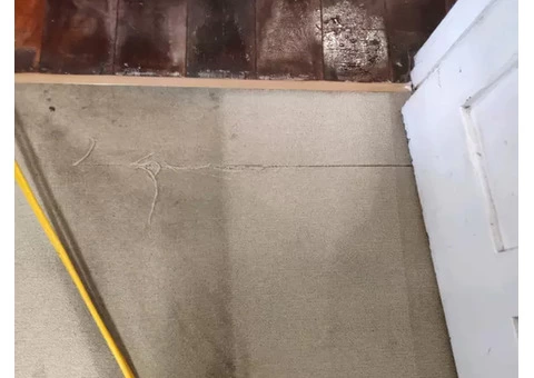 Clean Sleep Carpet Cleaning Brisbane - 5/6