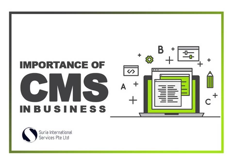 Top Web Development Company in Brisbane