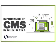 Top Web Development Company in Brisbane