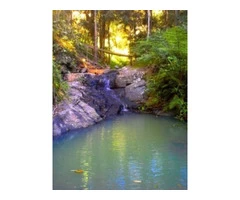 Best Permaculture Land Sale