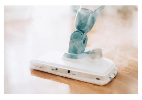 Would you like to clean your dirty carpet? 