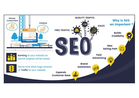 Why do you need Search Engine Optimisation?