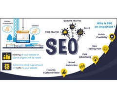 Why do you need Search Engine Optimisation?