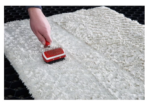 Would you like to restore your flooded carpet?
