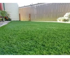 Fake Lawn Canberra