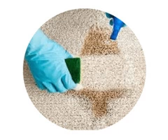 Carpet Cleaning Logan
