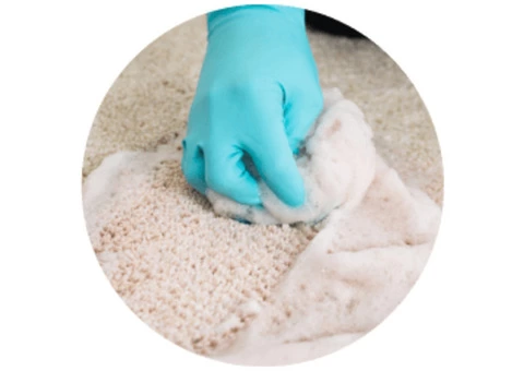 Carpet Cleaning Logan - 5/7